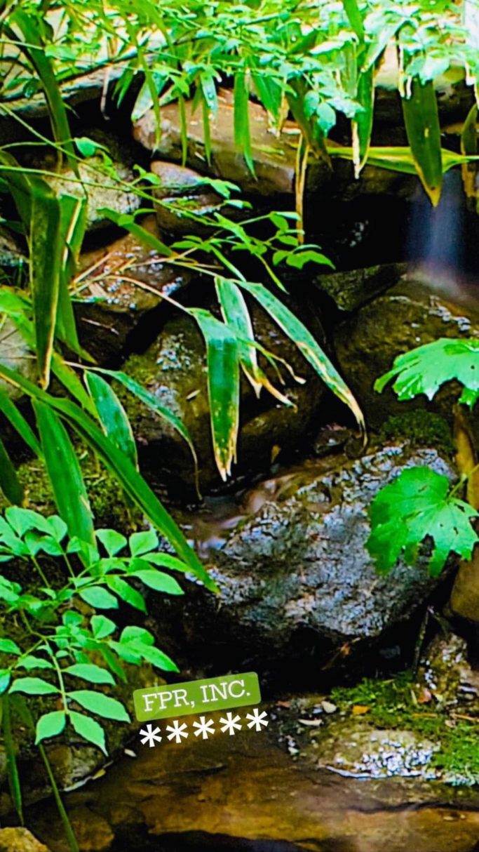 Natural waterfall, pond by FPR.
