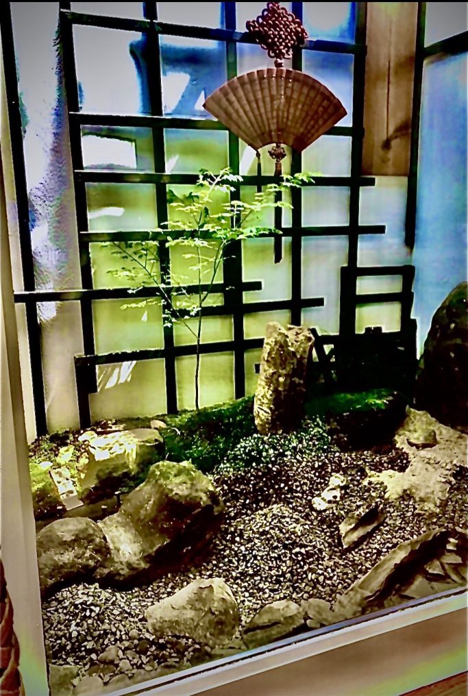 Indoor Gardens to fit every taste!
