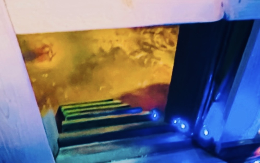 Even has his own paint art floor!