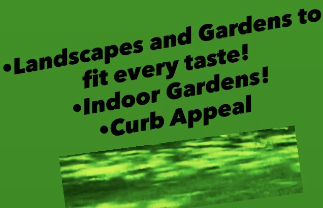 One could never stress the importance of curb appeal enough!